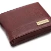 WildHorn RFID Protected Leather Wallet for Men, Brown